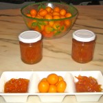 Marmellata di Mandarini Cinesi (kumquat)