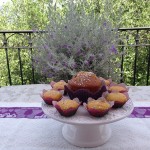 Kumquat Mini Muffins