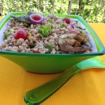 Barley and Ratatouille Salad (grilled)